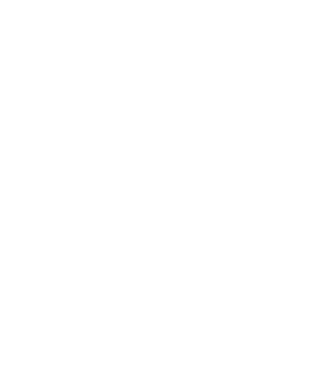 nespe-logo nespe logo